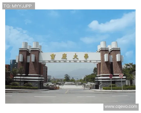 重庆排球队力压群雄创新高实力排名引发关注